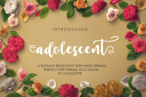 Adolescent: A Font That Elevates Your Brand