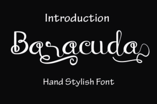 Baraccuda: A Script Font for Modern Web Design