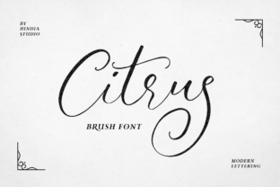 Citrus: A Script Font That Adds Warmth to Branding