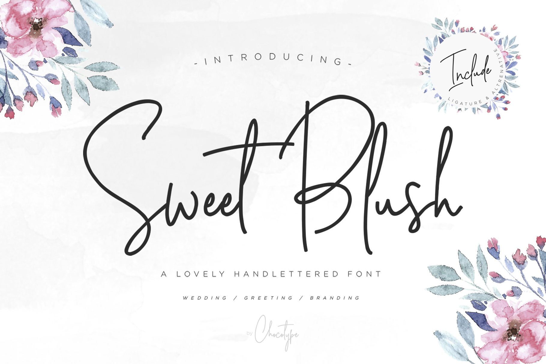 Discovering Sweet Blush: A Script Font for Feminine Branding