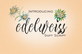 Edelweiss: A Font That Elevates Your Brand’s Visual Identity