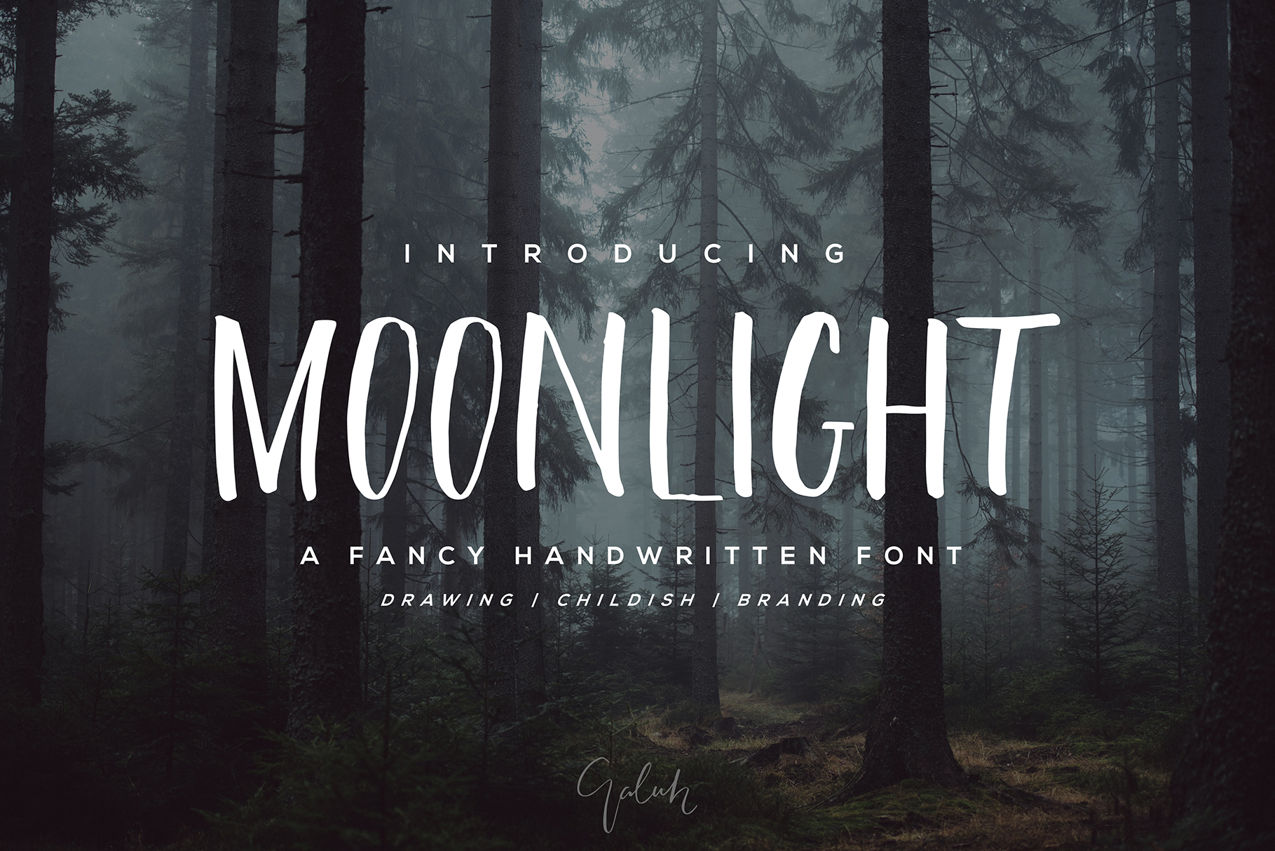 Font Choice That Elevates Your Web Design: Moonlight
