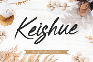 Keishue: The Font That Elevates Your Brand’s Visual Story