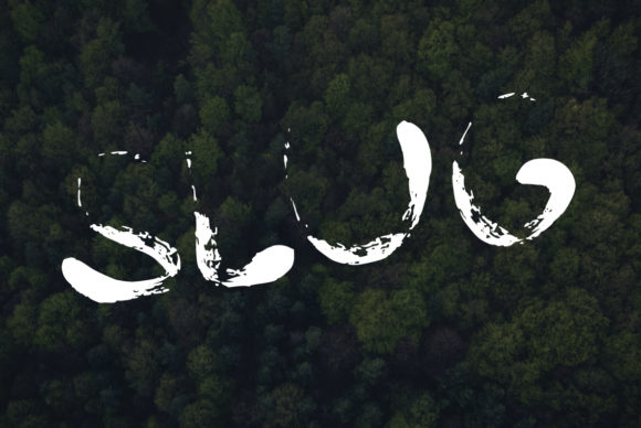 Slug: A Script Font for Digital Design and Branding
